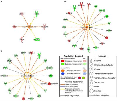 Functional Network Profiles in ARSACS Disclosed by Aptamer-Based Proteomic Technology